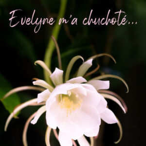 Evelyne m’a chuchoté…
